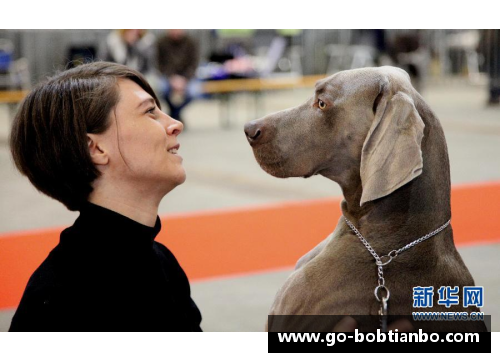 BOB天博职业球员涉嫌扔狗事件引发社会关注
