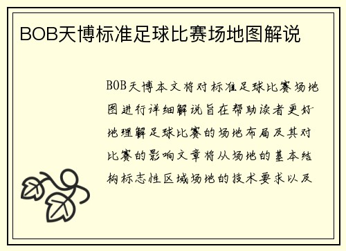 BOB天博标准足球比赛场地图解说